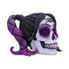 Drop Dead Gorgeous - Myths and Magic 20.5cm Skulls Out Of Stock