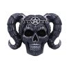 Drop Dead Gorgeous - Solve and Coagula 20.5cm Skulls Drop Dead Gorgeous