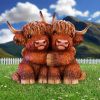 Highland Hug 14.5cm Animals Coming Soon