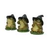 Three Wise Toads 10.3cm Animals Coming Soon