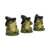 Three Wise Toads 10.3cm Animals Coming Soon