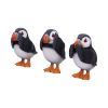 Three Wise Puffins 9cm Animals Coming Soon