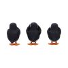 Three Wise Puffins 9cm Animals Coming Soon