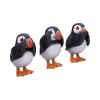 Three Wise Puffins 9cm Animals Coming Soon