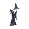 Little Souls - Twinkle 18cm Witches Coming Soon