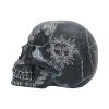 Dark Spirits 20cm Skulls Gifts Under £100