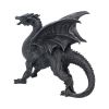 Dragon Watcher 31cm Dragons Dragon Figurines