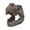 Tyrannosaurus Rex Skull Freestanding 16cm Dinosaurs Top 200 None Licensed