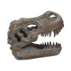 Tyrannosaurus Rex Skull Freestanding 16cm Dinosaurs Top 200 None Licensed