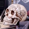 Spirits 20cm Skulls Gifts Under £100