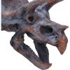 Triceratops Head 23cm Dinosaurs Out Of Stock