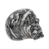 Soul 19cm Skulls Gifts Under £100