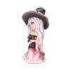 Rosa 15cm Witches Gifts Under £100