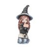 Regan 15cm Witches Gifts Under £100