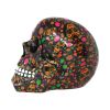 Viva! 19cm Skulls Out Of Stock