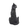 Salem 32.5cm Cats Gifts Under £100