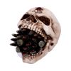 Bite the Bullet Skulls Gifts Under £100