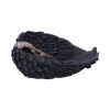 Edgar's Raven Trinket Holder 17cm Ravens Gifts Under £100