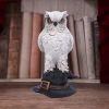 Soren 15.3cm Owls Summer Sale 2024