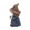 Trouble 9.7cm Witches Gifts Under £100