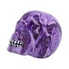 Purple Romance (Medium) 11cm (Pack of 6) Skulls Gifts Under £100