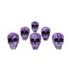 Purple Romance (Medium) 11cm (Pack of 6) Skulls Gifts Under £100