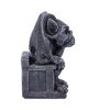 Edo 13.7cm Gargoyles & Grotesques Gifts Under £100