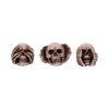 Three Wise Skulls 7.6cm Skulls Summer Sale 2024