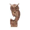 Ohm Owl 29cm Owls Summer Sale 2024