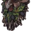 Spruce 20.8cm Tree Spirits Last Chance to Buy