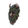 Alder 20.2cm Tree Spirits Gifts Under £100