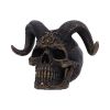 Diabolus 18cm Skulls Gifts Under £100