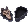 Dragon Skull Box (Monte Moore) 17.7cm Dragons Summer Sale 2024