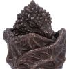 Dragon Snuggle Box 9cm Dragons September Flash Sale 2024 | Gothic