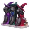 Three Wise Witchy Kittys 15.3cm Cats Gifts Under £100