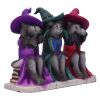 Three Wise Witchy Kittys 15.3cm Cats Gifts Under £100