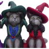 Three Wise Witchy Kittys 15.3cm Cats Gifts Under £100