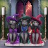 Three Wise Witchy Kittys 15.3cm Cats Gifts Under £100