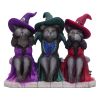 Three Wise Witchy Kittys 15.3cm Cats Gifts Under £100