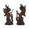 Woodland Beauty (set of 2) 15.5cm Fairies Gifts Under £100