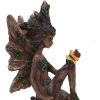 Woodland Beauty (set of 2) 15.5cm Fairies Gifts Under £100