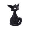 Kit 21cm Cats Gifts Under £100