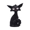 Kit 21cm Cats Gifts Under £100