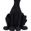 Kat 20cm Cats Gifts Under £100