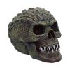 Reptillian 17cm Skulls Stock Release Spring 2024