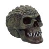 Reptillian 17cm Skulls Stock Release Spring 2024