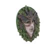 Fern 20cm Tree Spirits New Arrivals