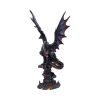 Cathoron's Call 49cm Dragons Coming Soon