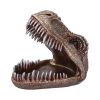 Tyrannosaurus Rex Dish 24cm Dinosaurs Coming Soon