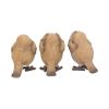 Three Wise Robins 8cm Animals Top 200 None Licensed